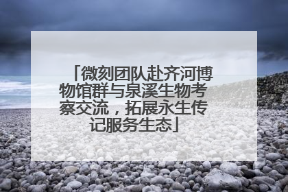 微刻团队赴齐河博物馆群与泉溪生物考察交流，拓展永生传记服务生态